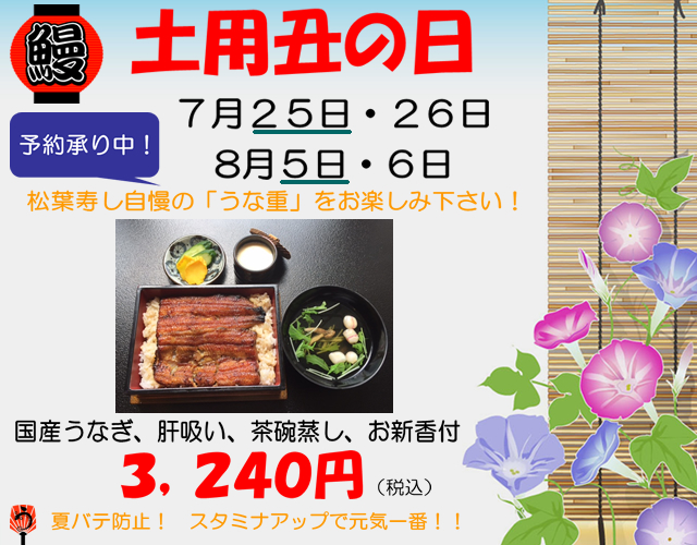 夏プラン